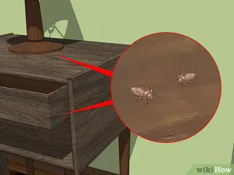 Image titled Identify Bed Bug Bites Step 8