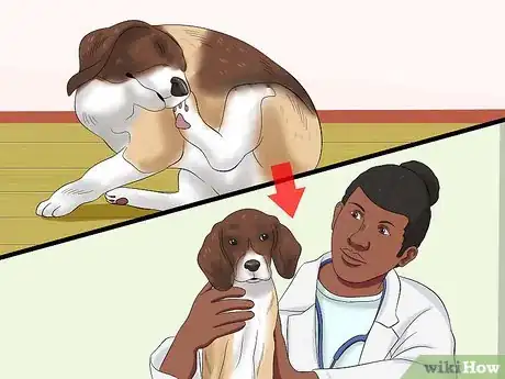 Image titled Make Allergy Food for Dogs Step 1