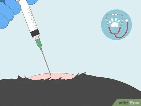 Image titled Remove a Tumor on a Dog at Home Step 2