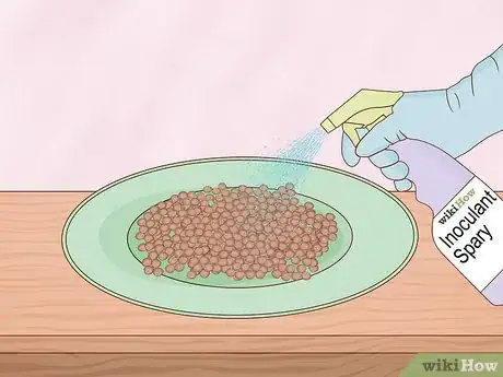 Image titled Grow Lentils Step 5