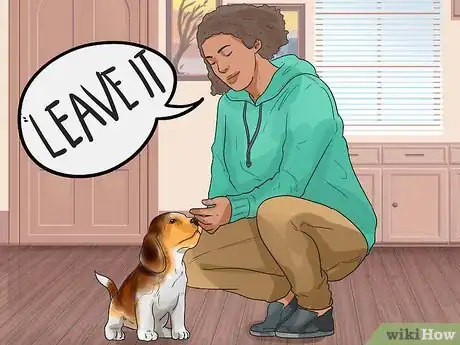 Image titled Make Your Dog Like Your Cat Step 18