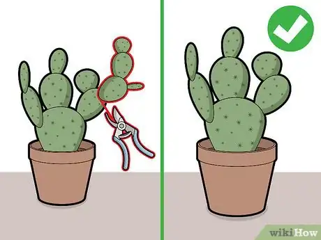 Image titled Prune Cactus Step 4