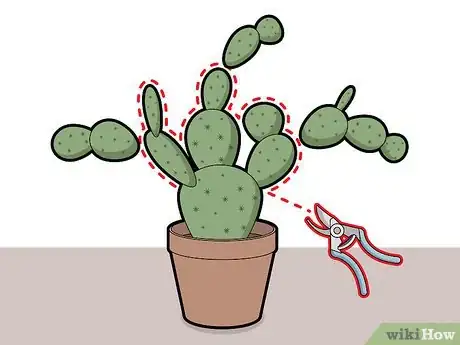 Image titled Prune Cactus Step 3