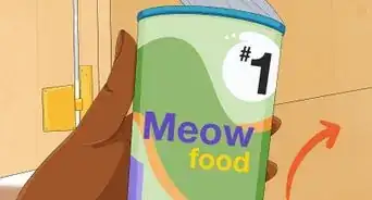 Store Wet Cat Food