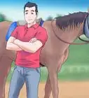 Win at Horse Racing