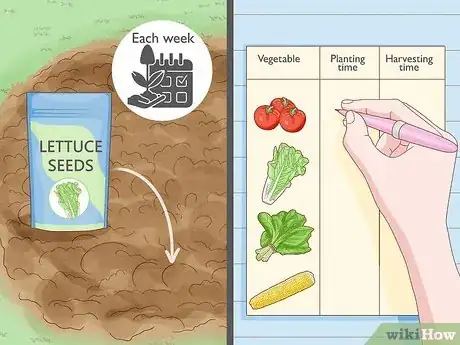 Image titled Start a Vegetable Garden Step 3