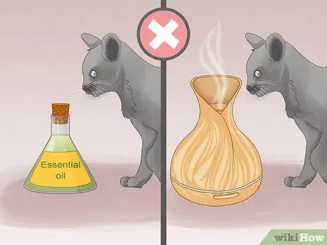 Image titled Remove Oil from a Cat Step 11