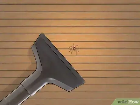 Image titled Get Spiders Out of Your House Without Killing Them Step 14