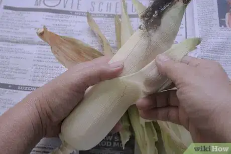 Image titled Husk Corn Step 2