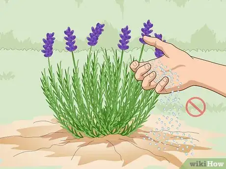 Image titled Fertilize Herbs Step 2