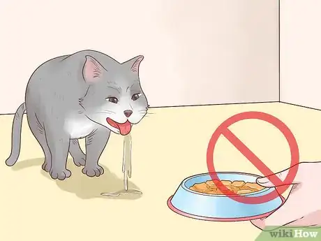 Image titled Feed a Feline Cancer Patient Step 10