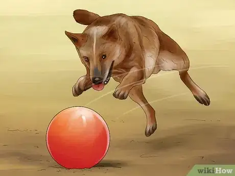 Image titled Give Your Dog Healthy Attention Step 8