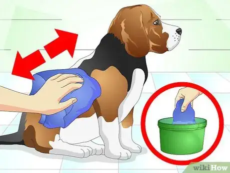 Image titled Nurse a Dog when It's Sick Step 10