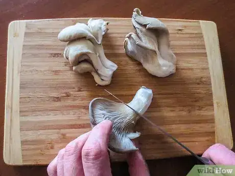 Image titled Prepare Oyster Mushrooms Step 1