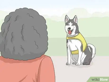 Image titled Identify a Service Dog Step 6