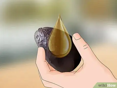 Image titled Choose Avocados Step 3