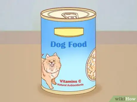 Image titled Help Your Dog Through a Stroke Step 12