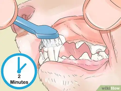 Image titled Clean a Ferret's Teeth Step 7