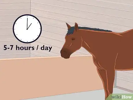 Image titled How Do Horses Sleep Step 3