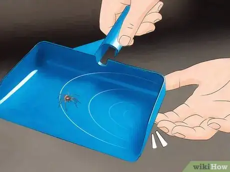 Image titled Get Spiders Out of Your House Without Killing Them Step 12