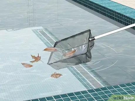 Image titled Keep Wolf Spiders Out of a Pool Step 1