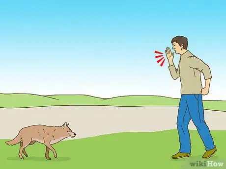 Image titled Act when Near a Coyote Step 3