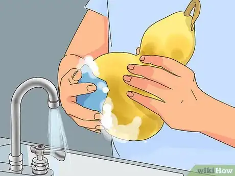 Image titled Dry Gourds for Decorating Step 1