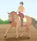 Begin Horseback Riding