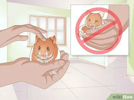 Image titled Make Your Hamster Happy Step 9