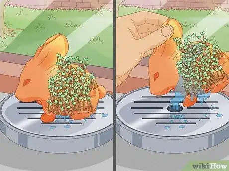 Image titled Grow a Chia Pet Step 10