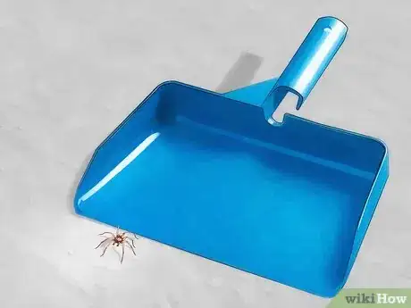 Image titled Get Spiders Out of Your House Without Killing Them Step 13