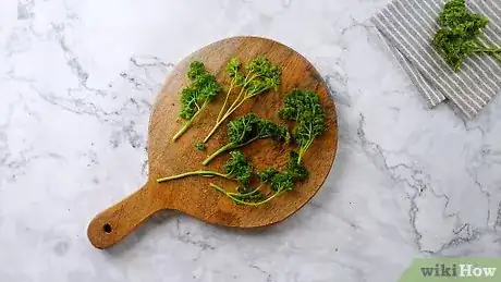 Image titled Preserve Fresh Parsley Step 10