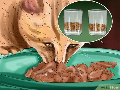 Image titled Encourage Your Cat to Eat Step 10