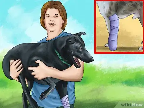 Image titled Carry an Injured Dog Step 2