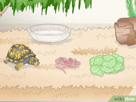 Image titled Care for an Eastern Box Turtle Step 12