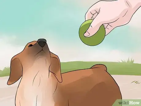 Image titled Stop Your Dog from Biting Other People Step 12