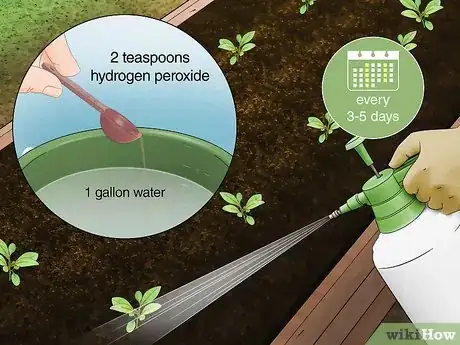 Image titled Use Hydrogen Peroxide in the Garden Step 6