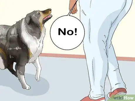 Image titled Stop a Dog from Herding Step 4