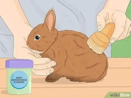 Image titled Treat Diarrhea in Rabbits Step 12