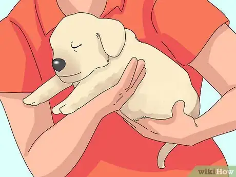 Image titled Take Care of Puppies Step 13