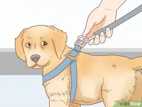 Image titled Put on a Dog Harness Step 16