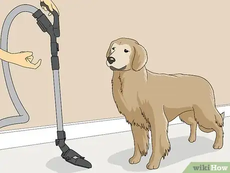 Image titled Vacuum Your Dog Step 3