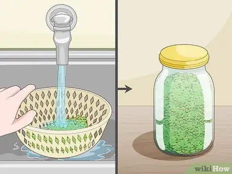 Image titled Grow Duckweed for Food Step 8