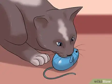 Image titled Stop a Cat from Chewing on Your Hair Step 5