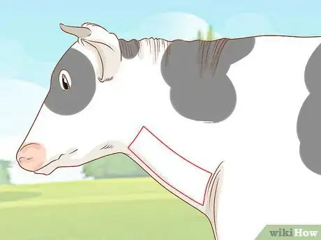 Image titled Give Cattle Injections Step 27