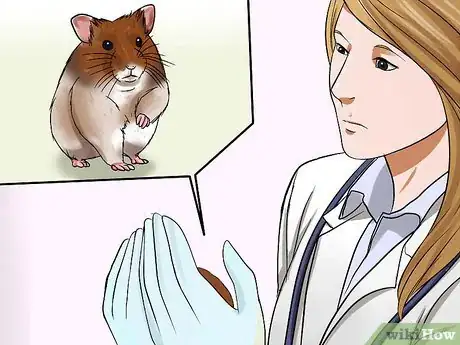 Image titled Groom a Syrian Hamster Step 16