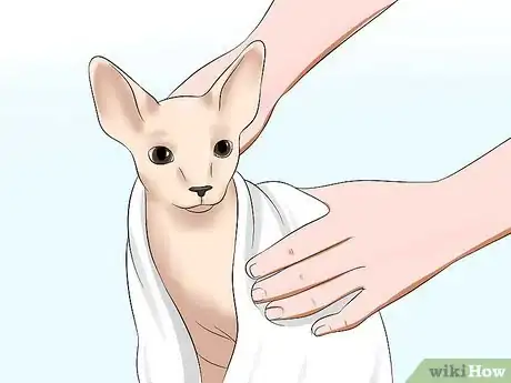 Image titled Bathe a Sphynx Cat Step 14