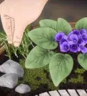 Create Your own Mini Garden