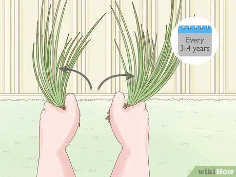 Image titled Grow Chives Step 22