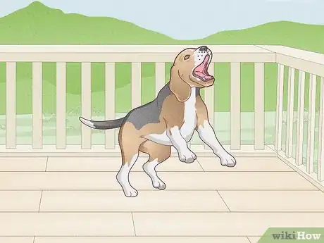 Image titled Stop a Dog's Unwanted Behavior Step 1